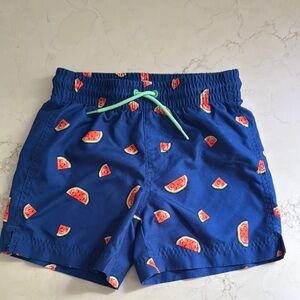 Vibrant Blue and Green Tropical Patterned Watermelon Swim Shorts